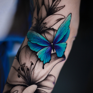 🔥 Foto hot, portfolio modelle  #78692  