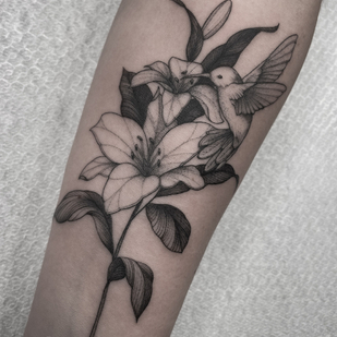 🔥 Foto hot, portfolio modelle  #78707  