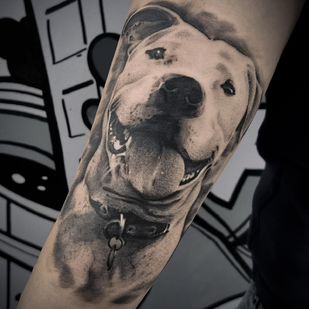 🔥 Foto hot, portfolio modelle  #79476  