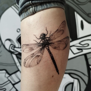 🔥 Foto hot, portfolio modelle  #79491  