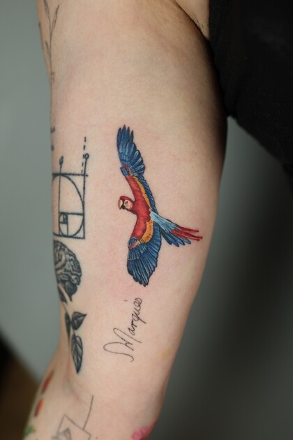 Idee per tatuaggi # Tatuatore Anastasiia Kravets