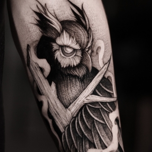 🔥 Foto hot, portfolio modelle  #100365  