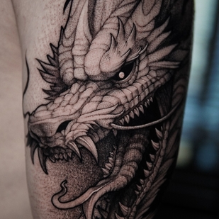 🔥 Foto hot, portfolio modelle  #100456  