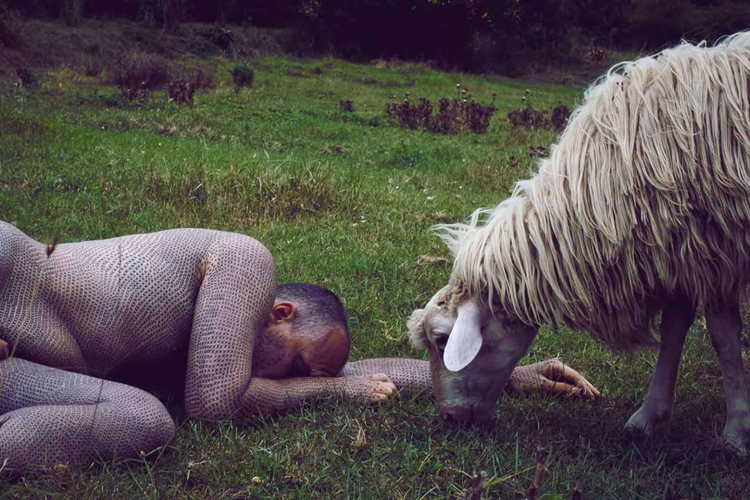 Project X - protesta vegetariana di Alfredo Meschi | Italia