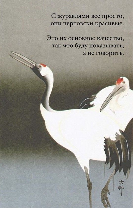 Cranes in Japanese engraving