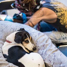 크라쿠프에서 열리는 12회 타토오페스트 콘벤션 | 1일차