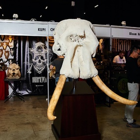 타투 유나이티드 5 | Day 1