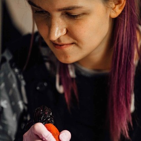 모스크 국제 토이터 주간 2017 | 1일