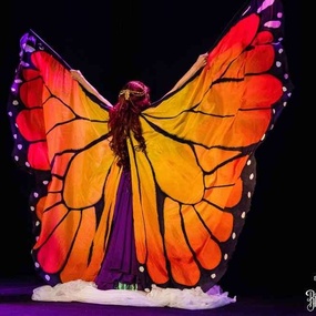 국제 브뤼셀 토트 프로페셔널 2017 | 2일차