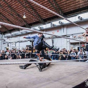 국제 브뤼셀 토트 프로페셔널 2017 | 3일차