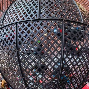 국제 브뤼셀 토트 프로페셔널 2017 | 3일차