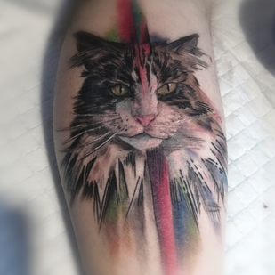 🔥 핫 포토, 모델 포트폴리오  #46624 타투이스트 red webz tattoo studio