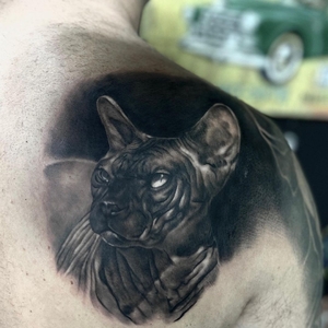 pekatattoo_artist | Leskovac, Serbia | iNKPPL