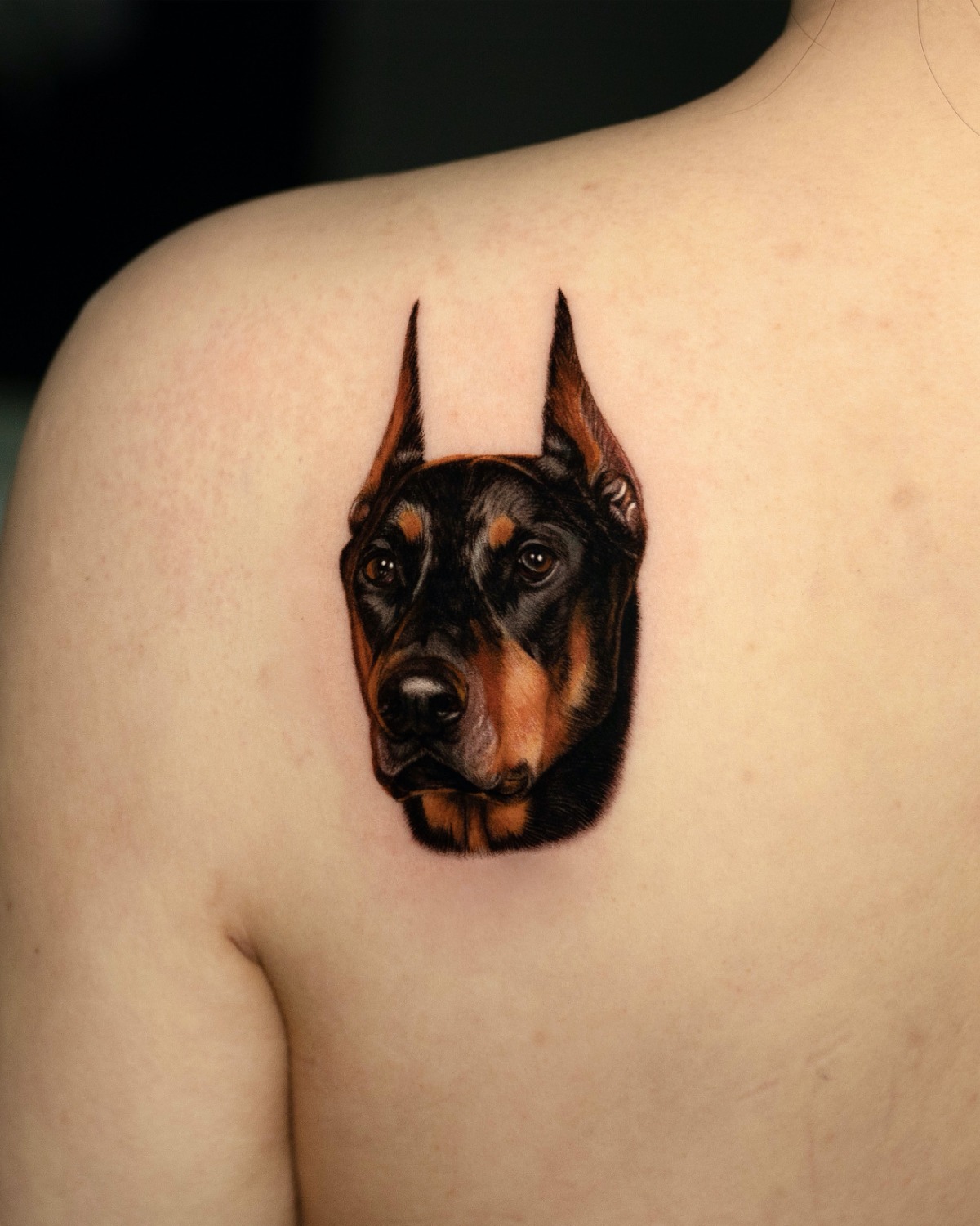 Doberman microrealistic portrait tattoo