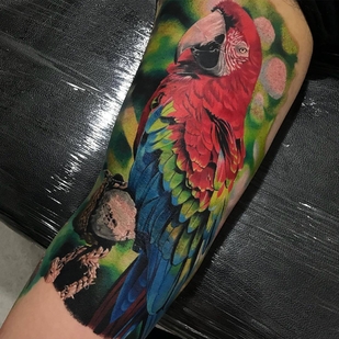 🔥 핫 포토, 모델 포트폴리오  #31177 타투이스트 Aaron Olaguivel (Omom Tattoo)