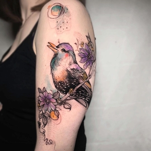 Pliszka | Wrocław, Poland | iNKPPL
