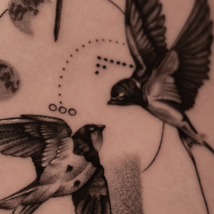 🔥 핫 포토, 모델 포트폴리오  #78955 타투이스트 Nikita Niko