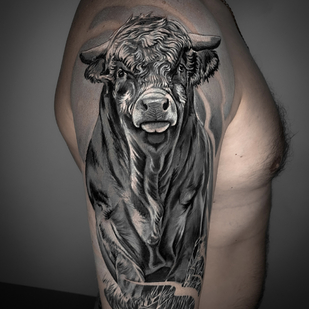 🔥 핫 포토, 모델 포트폴리오  #82788 타투이스트 Mihail Gromovchuk / Leeahim_tattoo