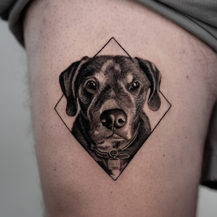 🔥 핫 포토, 모델 포트폴리오  #95950 타투이스트 Luis Dominguez