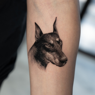 🔥 핫 포토, 모델 포트폴리오  #95951 타투이스트 Luis Dominguez