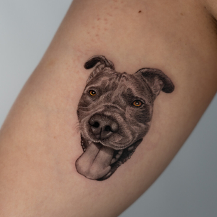 🔥 핫 포토, 모델 포트폴리오  #95958 타투이스트 Luis Dominguez