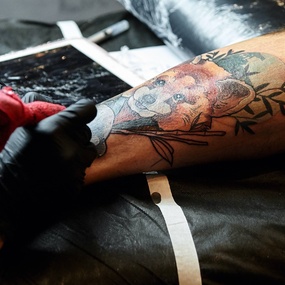 Tattoo United 5 | Dia 2