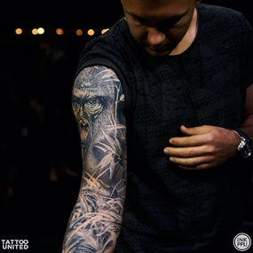 Tattoo United 5 | Dia 2