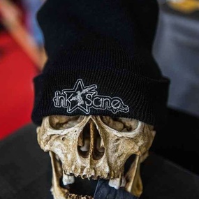 International Brussels Tattoo Convention 2017 | Dia 3