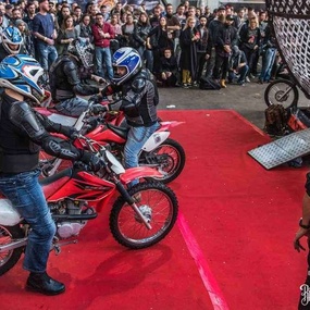 International Brussels Tattoo Convention 2017 | Dia 3