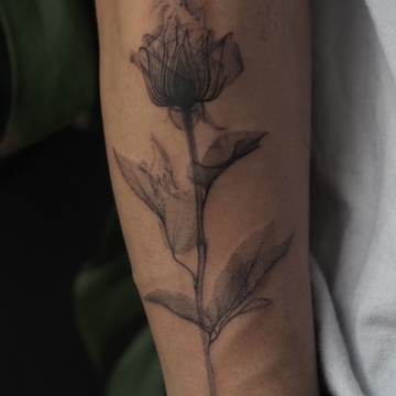 Estilo de Tatuagem Botânica com Raio-X e Ornamental de Anastasiia Pakhanova
