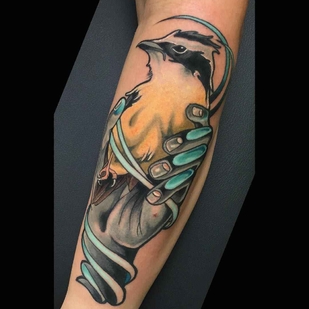 🔥 Fotos quentes, portfólio de modelos  #5186 Artista de tatuagem Brian Povak