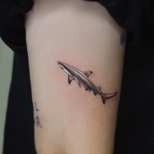 🔥 Fotos quentes, portfólio de modelos  #47144 Artista de tatuagem shooin