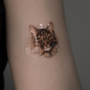 🔥 Fotos quentes, portfólio de modelos  #63723 Artista de tatuagem Ekaterina Biyanova