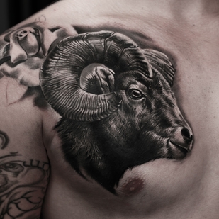 🔥 Fotos quentes, portfólio de modelos  #38712 Artista de tatuagem Elen Soul