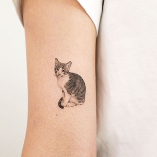 🔥 Fotos quentes, portfólio de modelos  #51110 Artista de tatuagem Hansan