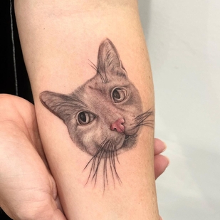 🔥 Fotos quentes, portfólio de modelos  #63974 Artista de tatuagem Suroshinn