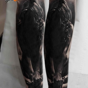 🔥 Fotos quentes, portfólio de modelos  #9816 Artista de tatuagem Silvano Fiato