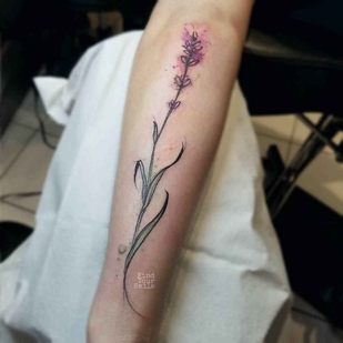 🔥 Fotos quentes, portfólio de modelos  #10054 Artista de tatuagem Russell Van Schaick