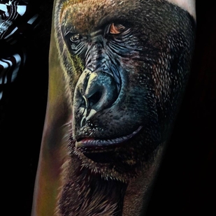 🔥 Fotos quentes, portfólio de modelos  #28861 Artista de tatuagem Walace Sales