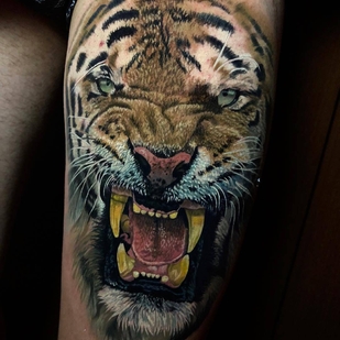 🔥 Fotos quentes, portfólio de modelos  #28863 Artista de tatuagem Walace Sales