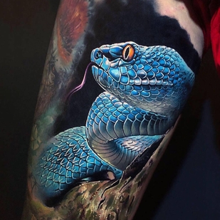 🔥 Fotos quentes, portfólio de modelos  #29362 Artista de tatuagem Khail Aitken