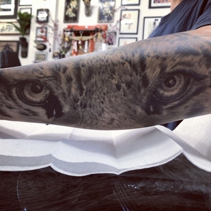 🔥 Fotos quentes, portfólio de modelos  #39132 Artista de tatuagem Bevan