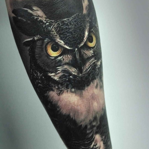 🔥 Fotos quentes, portfólio de modelos  #18639 Artista de tatuagem Emersson Pabon