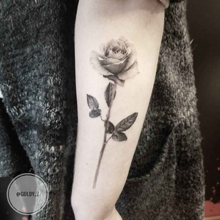 🔥 Fotos quentes, portfólio de modelos  #18554 Artista de tatuagem Zlata Kolomoyskaya