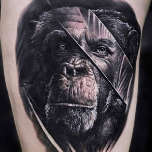 🔥 Fotos quentes, portfólio de modelos  #29900 Artista de tatuagem Michael Perry