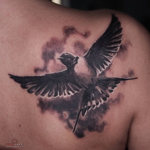 🔥 Fotos quentes, portfólio de modelos  #30694 Artista de tatuagem Oleg kaBe