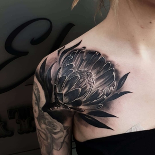 🔥 Fotos quentes, portfólio de modelos  #21392 Artista de tatuagem Nick Imms