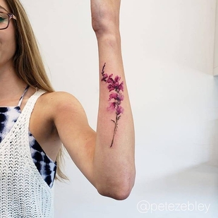 🔥 Fotos quentes, portfólio de modelos  #31231 Artista de tatuagem Pete Zebley