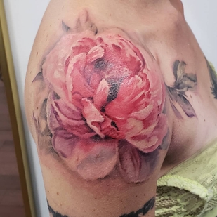 🔥 Fotos quentes, portfólio de modelos  #31236 Artista de tatuagem Pete Zebley