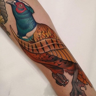 🔥 Fotos quentes, portfólio de modelos  #40819 Artista de tatuagem Sneakymitch